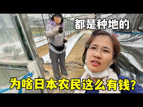 伊万教练表,现不佳,战术部署过,世界杯转播,2026世界杯,赛事直播,回放视频,观看方式